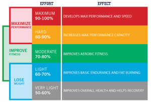 How Heart Rate Training Works